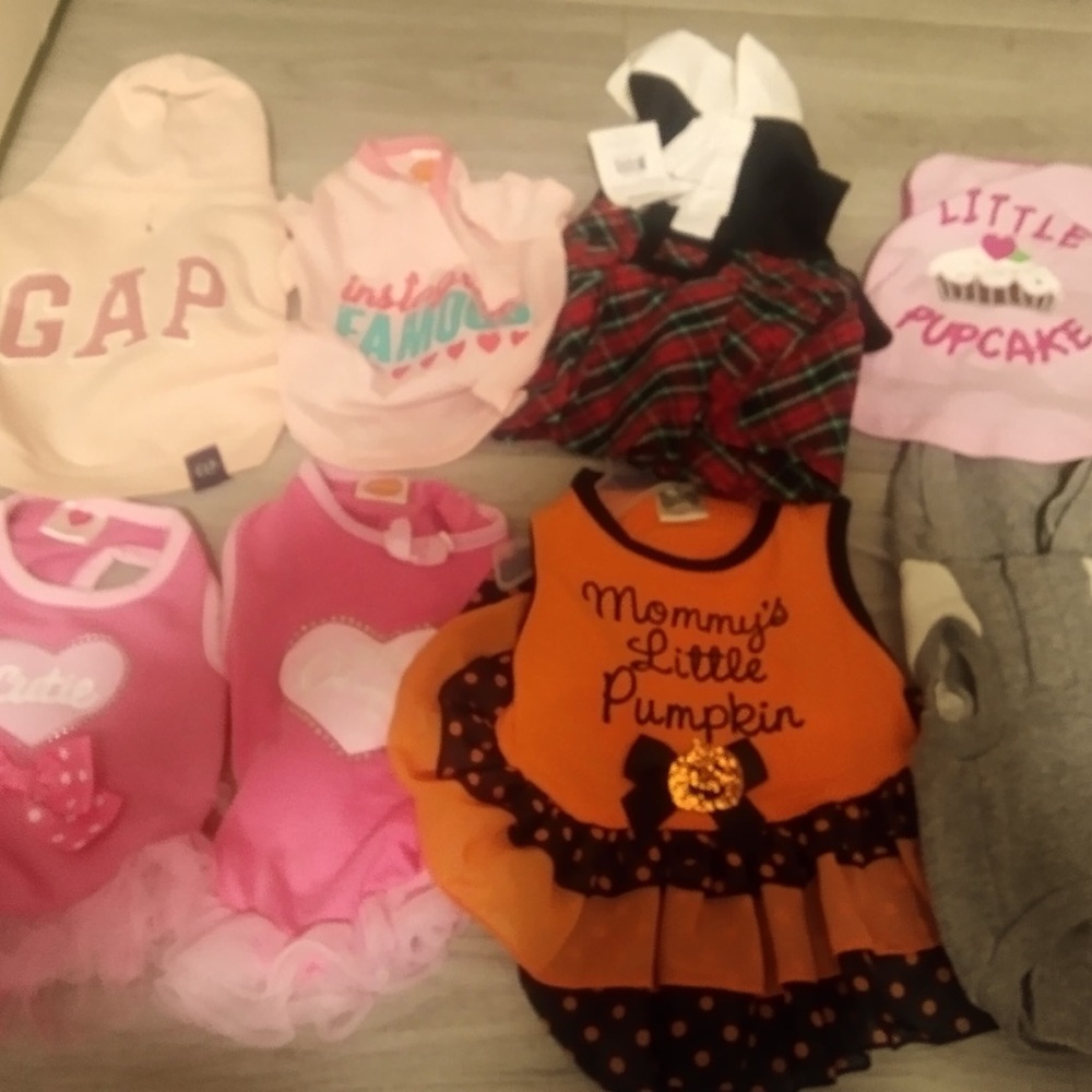 GAP Dog Clothing Set - Pink, Orange, Gray
